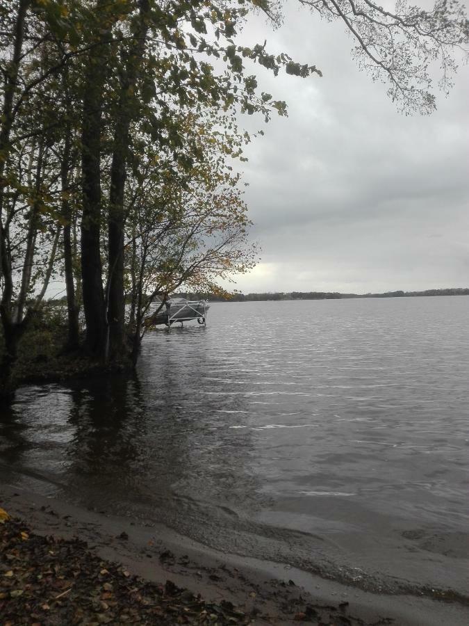 Am Schwielochsee1